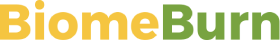 Biome Burn Logo